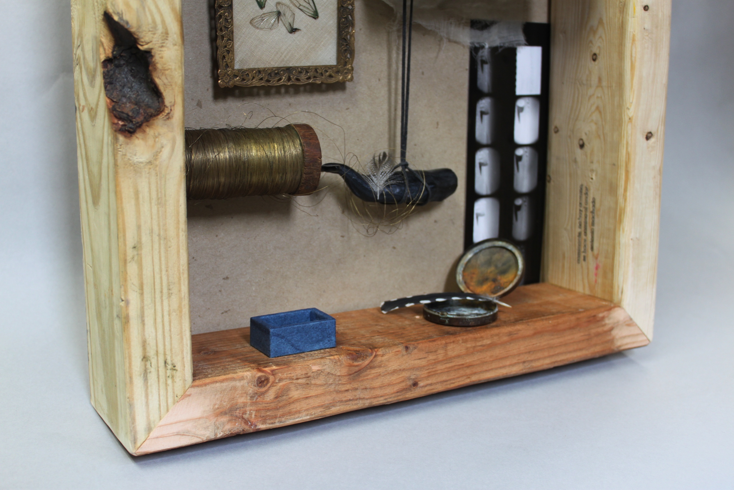 caminante closeup sml.JPG